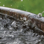 Permaculture Rainwater Harvesting